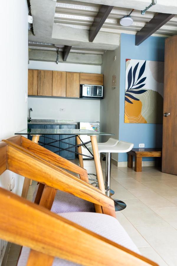 M1145 Aparta Loft Appartement *